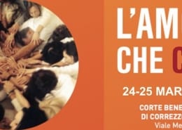 l'amore che cura 2018